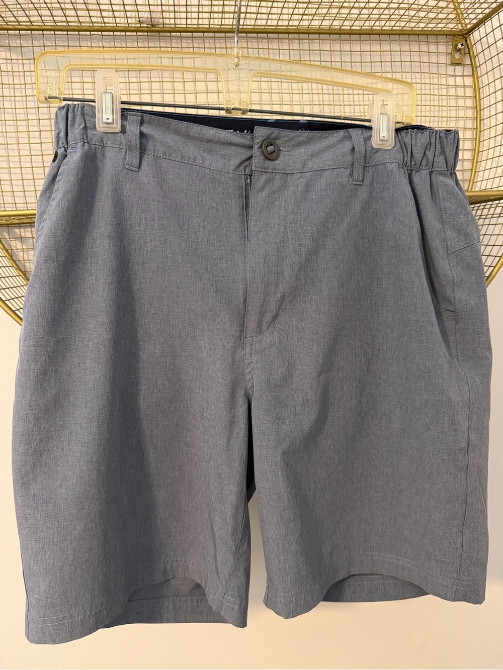 Men's Fish Hippie Waterside Flat-Front Casual Shorts in Light Blue